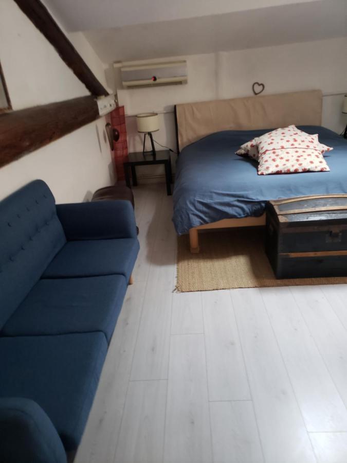 Chambre Dans Une Grande Maison Entre Canal Du Midi Et Centre Ville Beziers Luaran gambar